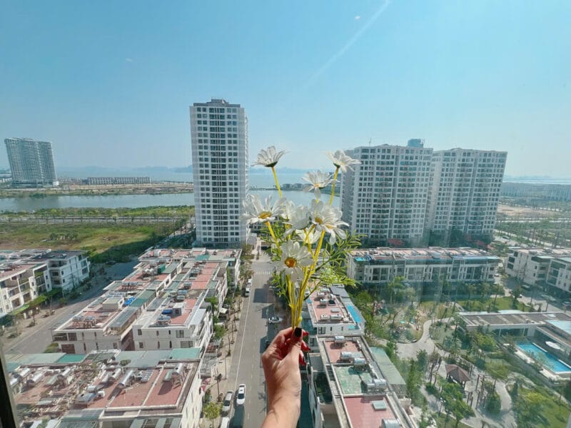 Studio chính biển Green bay